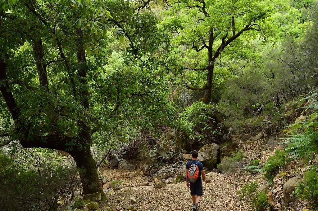 Casa Rural Ahoraya El Colmenar Kır Evi
